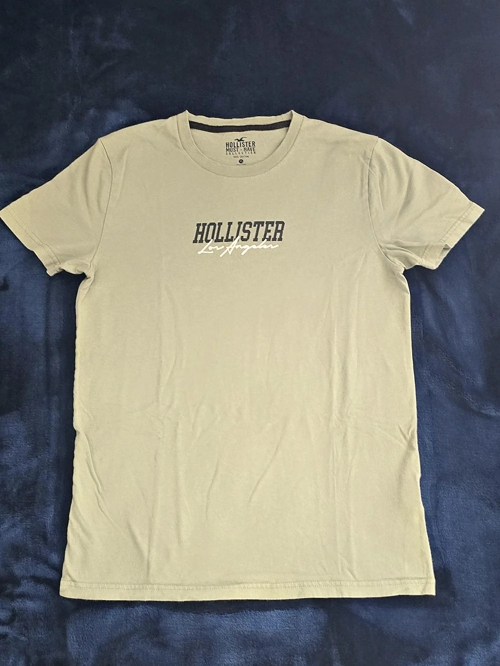 Hollister Must-Have Collection Cotton Graphic Tee in Green XS Like New